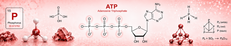 The Phosphorus Problem